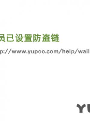 樱花树下的承诺